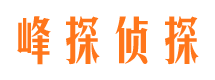 松阳侦探